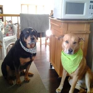 Meet your Posher, Candy